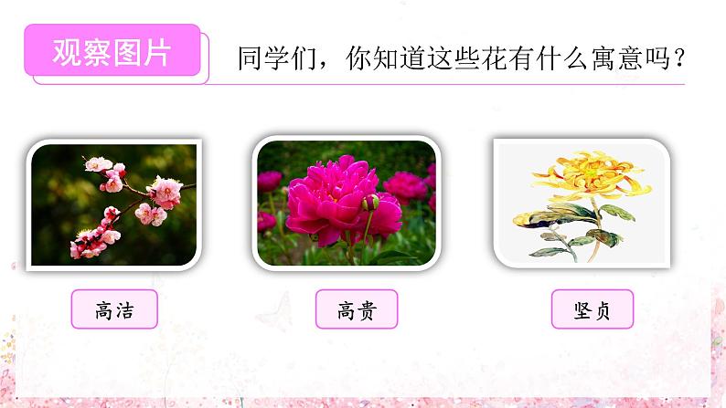 第2课《丁香结》第一课时（课件）-六年级语文上册部编版第3页