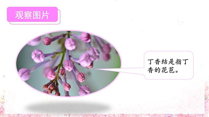 第2课《丁香结》第一课时（课件）-六年级语文上册部编版第4页