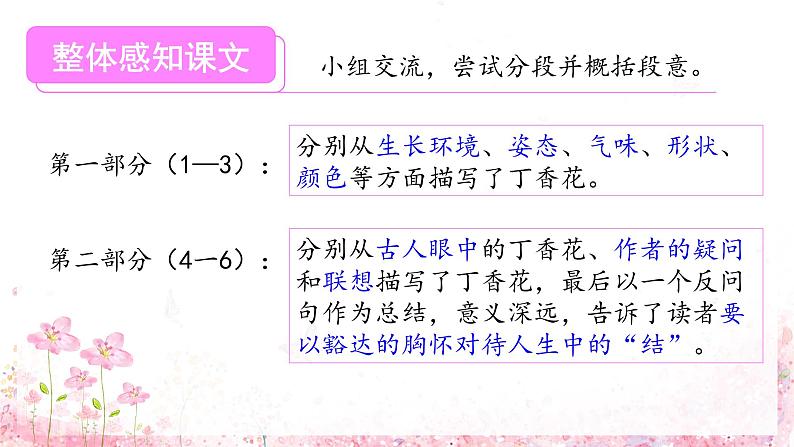 第2课《丁香结》第一课时（课件）-六年级语文上册部编版第8页
