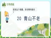 第20课《青山不老》（教学课件）-六年级语文上册部编版