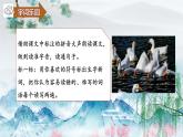 15.白鹅第一课时课件PPT