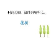 部编版二年级语文下册--4 邓小平爷爷植树（优质课件）