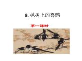 部编版二年级语文下册--9 枫树上的喜鹊（精品课件）