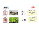 部编版二年级语文下册--9 枫树上的喜鹊（精品课件）