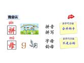 部编版二年级语文下册--9 枫树上的喜鹊（精品课件）