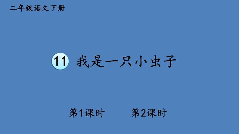 部编版二年级语文下册--11 我是一只小虫子（优质课件）第1页