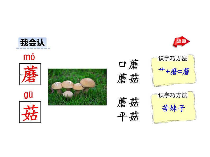 部编版二年级语文下册--识字4 中国美食（精品课件）第6页