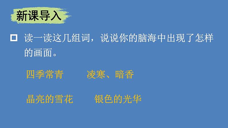 部编版四年级语文下册--11 白桦（优质课件）第2页