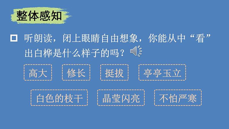 部编版四年级语文下册--11 白桦（优质课件）第5页