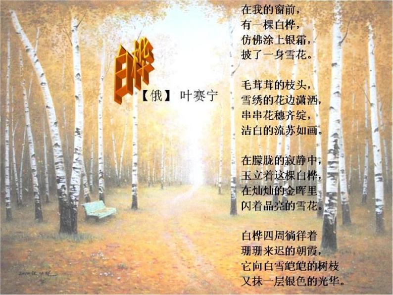 部编版四年级语文下册--11.白桦（课件）第2页