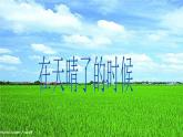部编版四年级语文下册--12.在天晴了的时候（课件）