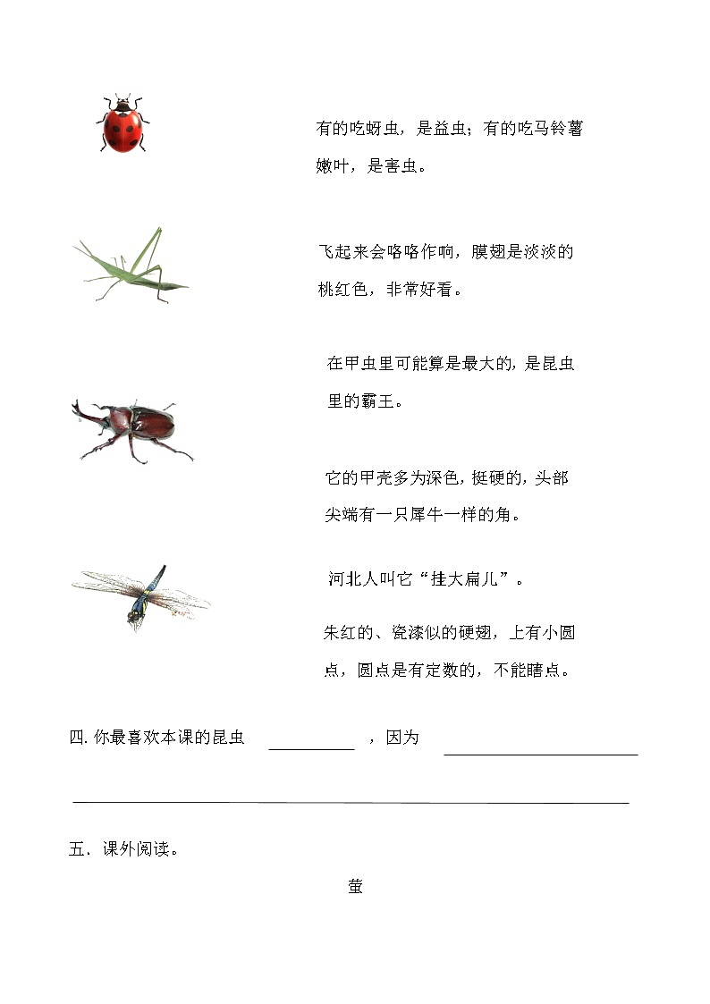 部编版小学语文三年级下册 4《昆虫备忘录》同步练习无答案03