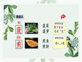 识字4 中国美食课件PPT