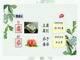 识字4 中国美食课件PPT