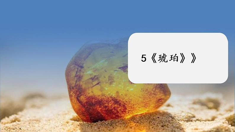 部编版语文四年级下册 第2单元 5《琥珀》课件+教案+练习01