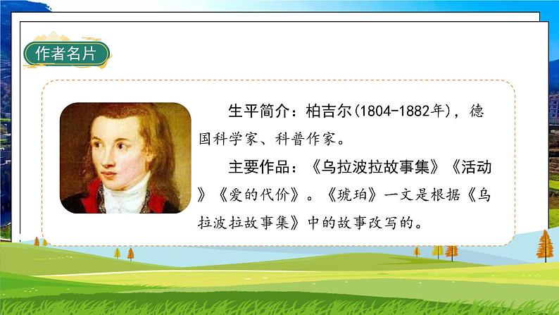 部编版语文四年级下册 第2单元 5《琥珀》课件+教案+练习04