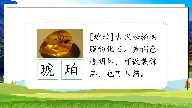 部编版语文四年级下册 第2单元 5《琥珀》课件+教案+练习07