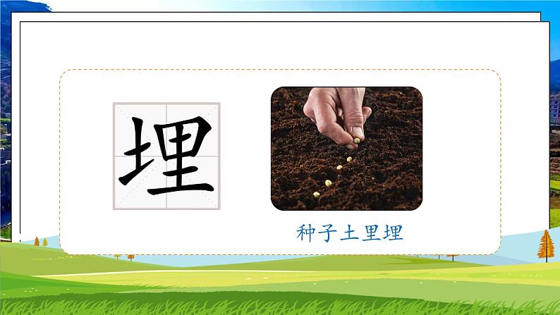 部编版语文四年级下册 第2单元 5《琥珀》课件+教案+练习08
