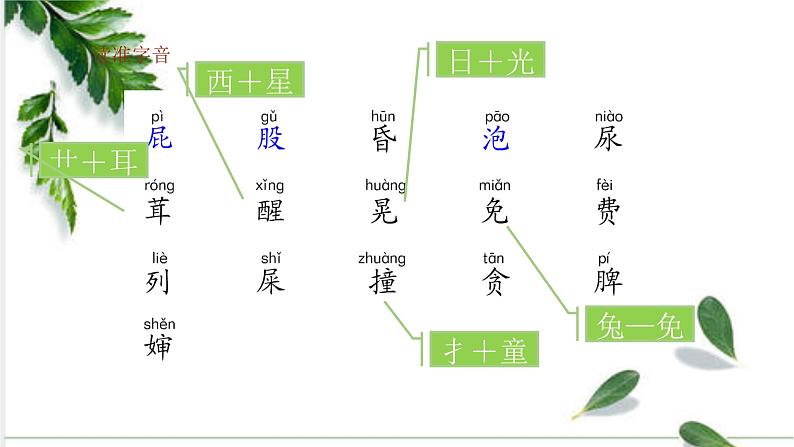 11 我是一只小虫子课件PPT04