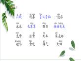 11 我是一只小虫子课件PPT
