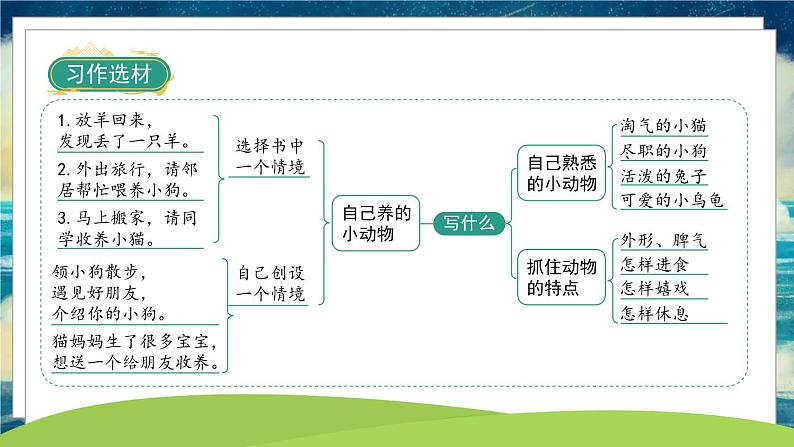 部编版语文四年级下册 第4单元 《习作四：我的动物朋友》课件+教案03