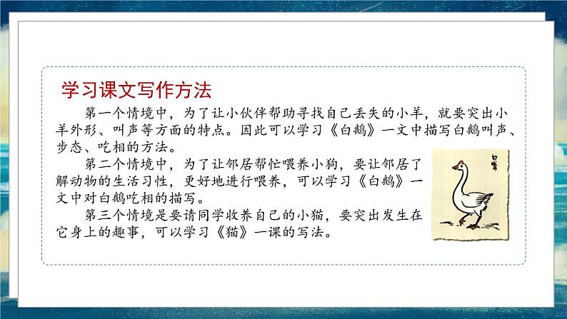 部编版语文四年级下册 第4单元 《习作四：我的动物朋友》课件+教案06