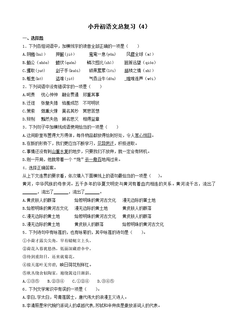 语文小升初知识专项训练复习试卷(有答案)(28页)第1页