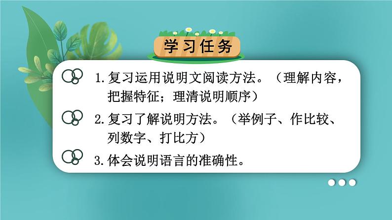 部编版语文五年级下册2-6 阅读：说明白了（说明类文章阅读） 期末复习课件第4页