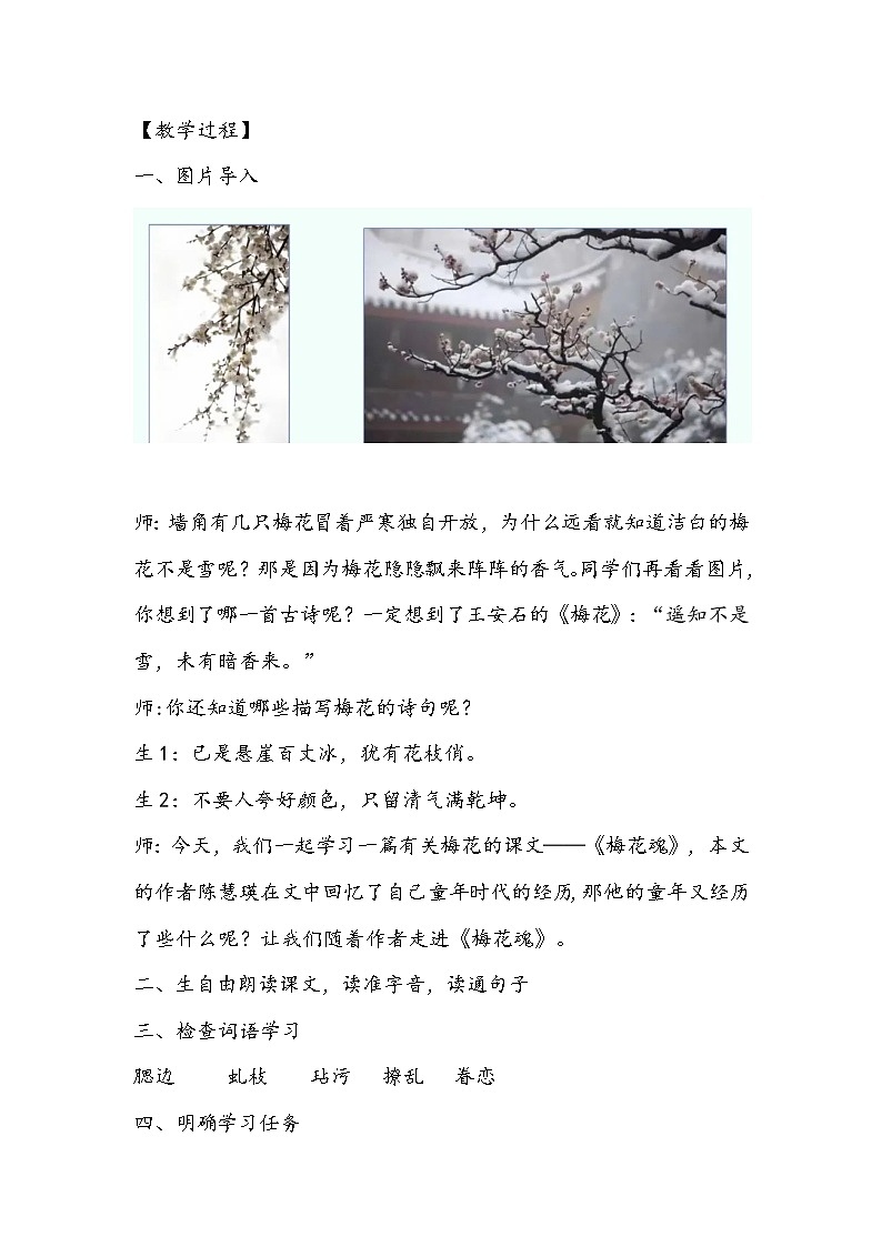 部编版语文五年级下册《梅花魂》教学设计第2页