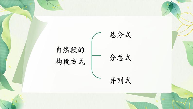 部编版语文三年级下册 2-4 阅读秘笈4：段段大比拼——段的几种呈现 期末复习课件第2页