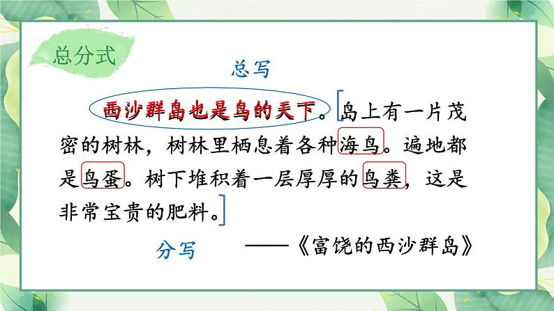 部编版语文三年级下册 2-4 阅读秘笈4：段段大比拼——段的几种呈现 期末复习课件第3页