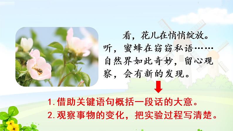 人教三下四单元13.花钟课件PPT08