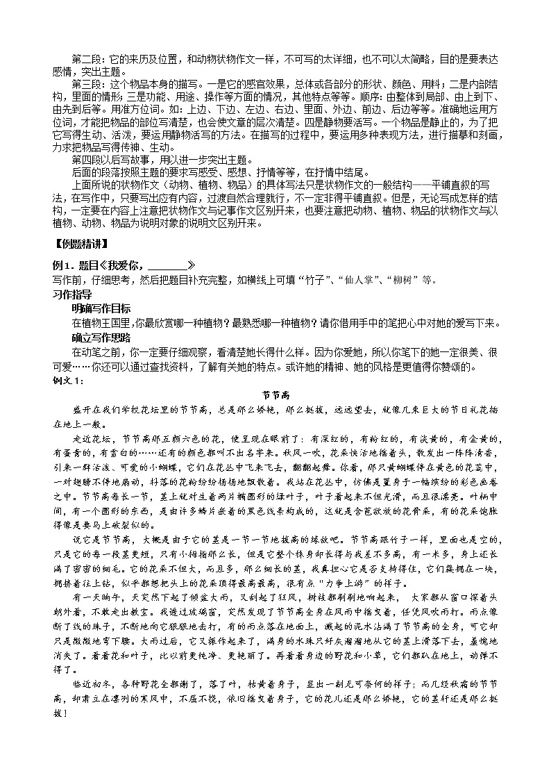 语文五年级下册第14讲-状物作文训练 (1)第3页