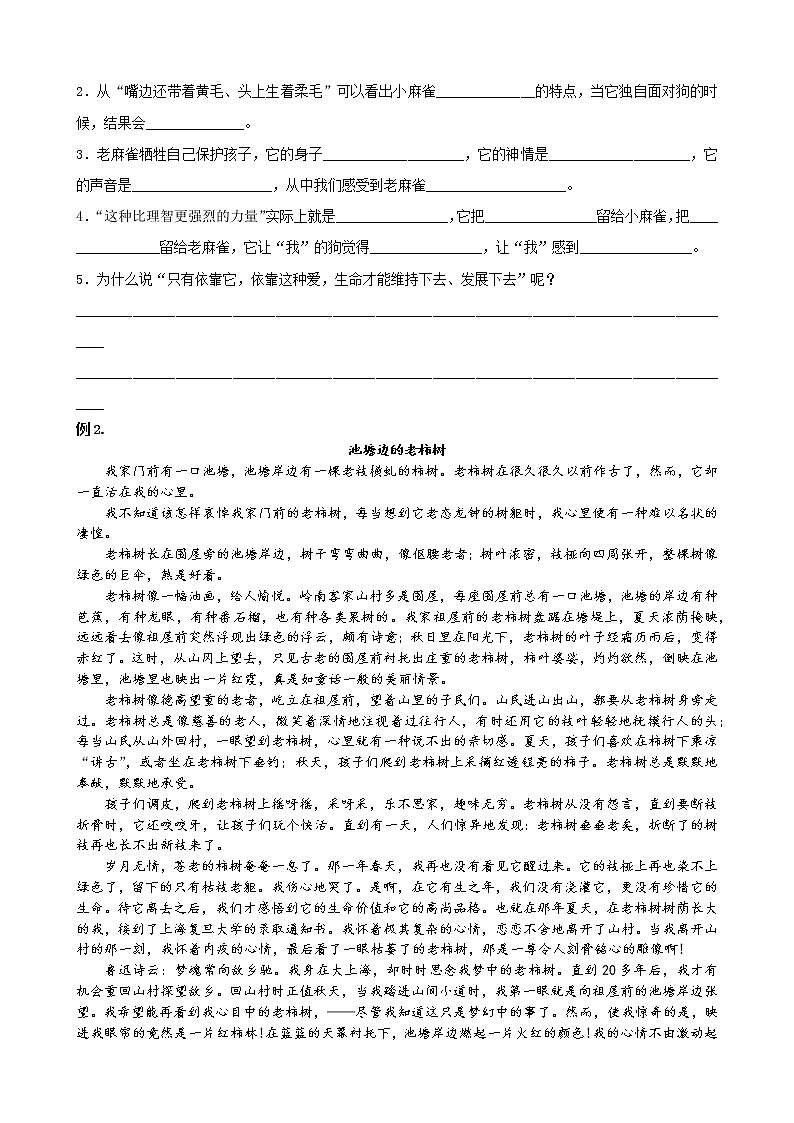 语文五年级下册第14讲-状物作文训练 (2)03