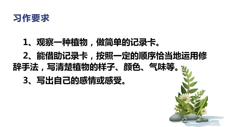 第一单元 习作：我的植物朋友（课件）-2022-2023学年三年级语文下册（部编版）第3页