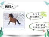 人教版二年级语文下册第二单元（教学课件）7一匹出色的马第1课时
