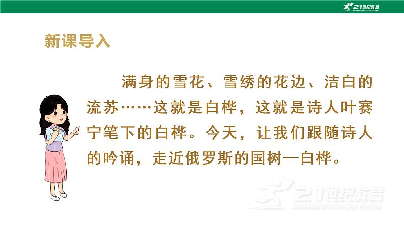 （教学课件）11白桦-人教版四年级语文下册第三单元02