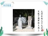 （教学课件）10 青山处处埋忠骨-人教版语文五年级下册第四单元