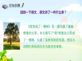 17、我变成了一棵树 第二课时课件PPT