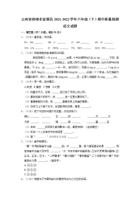 云南省曲靖市富源县2021-2022学年六年级下学期期中质量检测语文试题