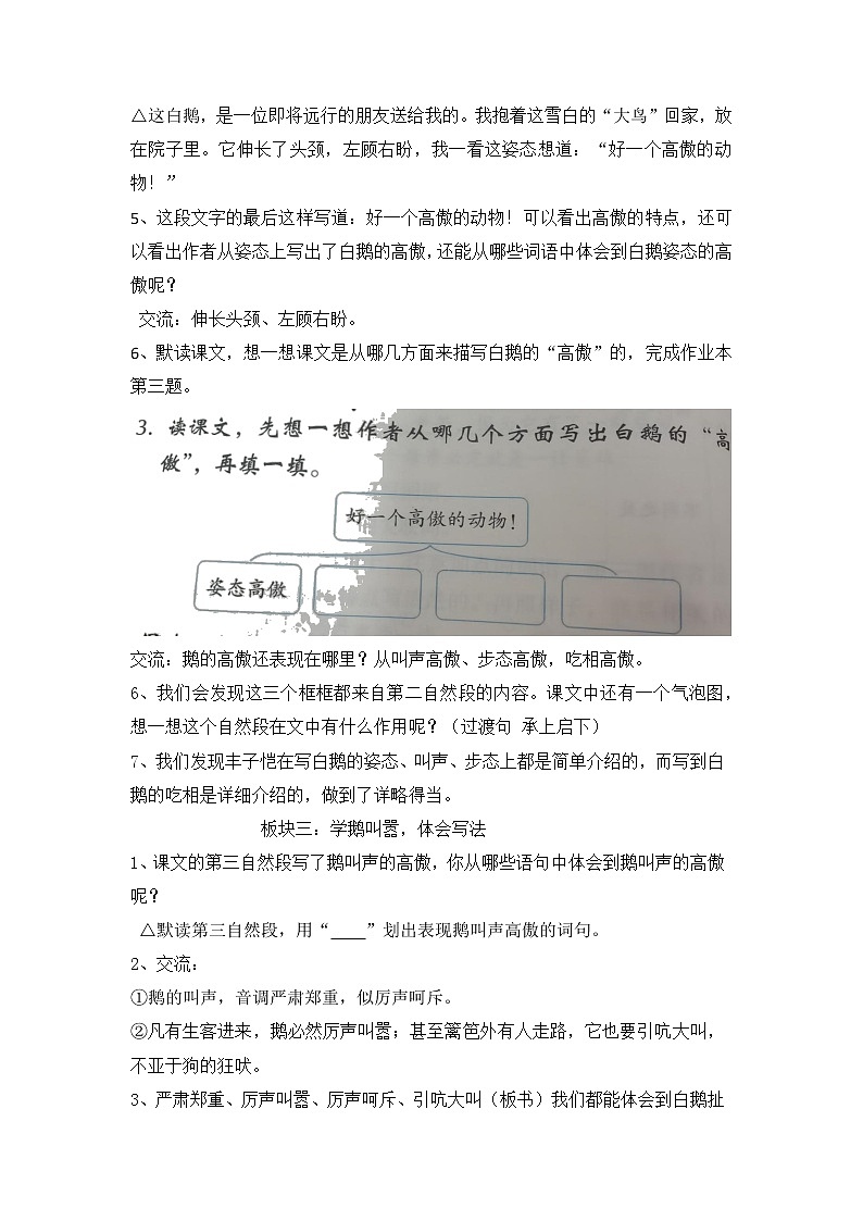 15  白鹅（教案）部编版语文四年级下册03