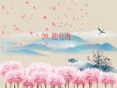三下20.肥皂泡课件PPT