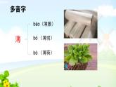 三下20.肥皂泡课件PPT