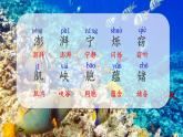 23海底世界课件PPT