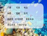 23海底世界课件PPT