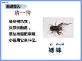 【同步课件】（部编三上）10.在牛肚子里旅行