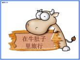 【同步课件】（部编三上）10.在牛肚子里旅行