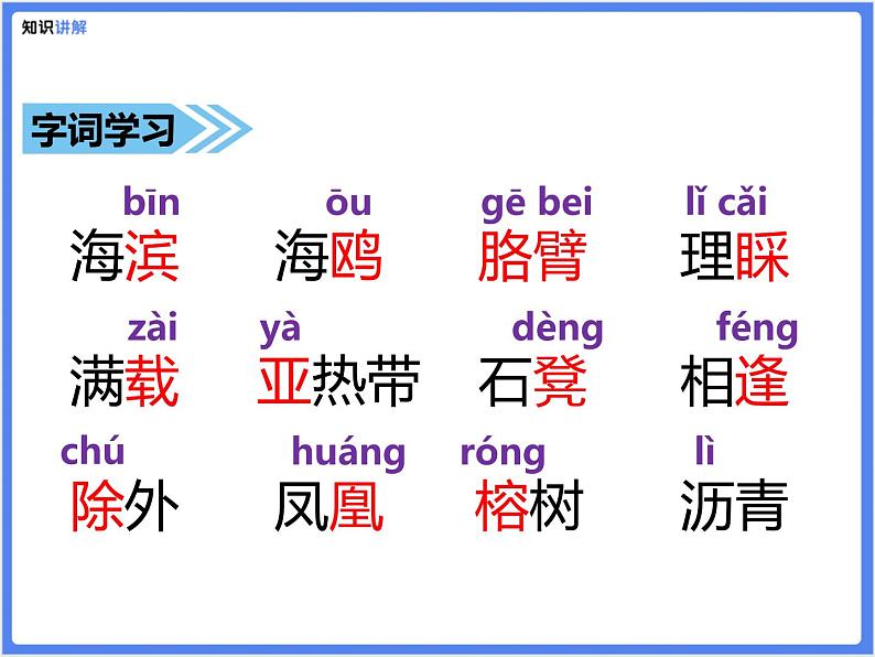 【同步课件】（部编三上）19.海滨小城第8页