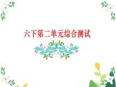 六下第二单元综合测试课件PPT