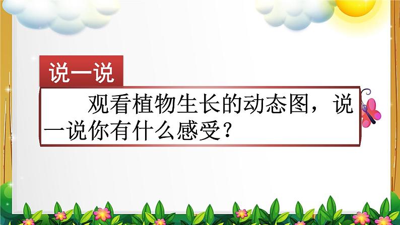 部编版语文四年级上册《习作：写观察日记》课件01